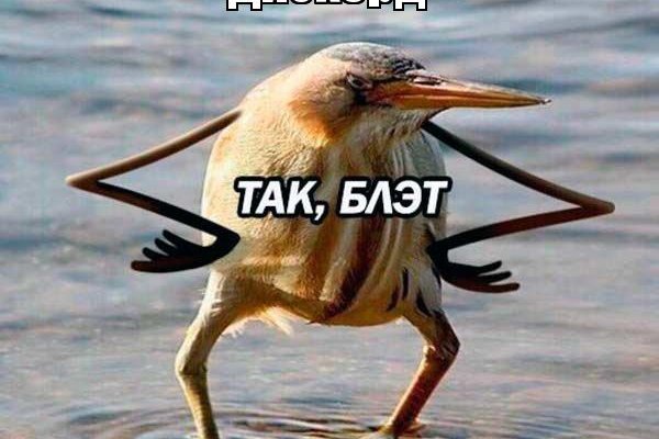 Kraken tor зеркало