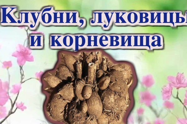 Правильная ссылка на кракен