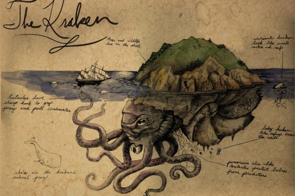 Kraken что это за магазин