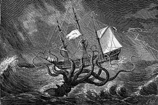 Kraken darknet marketplace