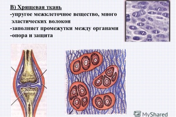 Не получается зайти на кракен