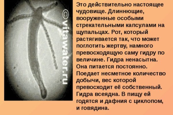 Кракен настоящее зеркало