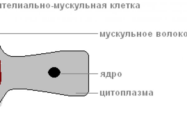Кракен даркнет лол